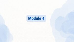 Mentorship Bootcamp Lecture Videos (Modules 1 to 4)